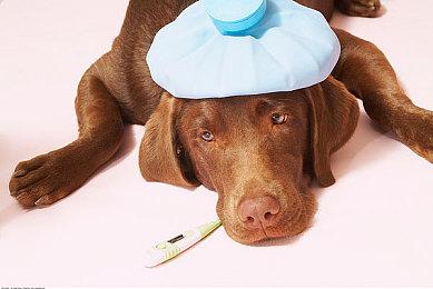 《AI 梦境档案 涅槃肇始》Steam开启预购 标准版330元