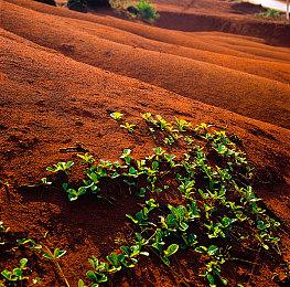 骂归骂 牌还是要打的 《影之诗：超凡世界》steam在线人数超10万